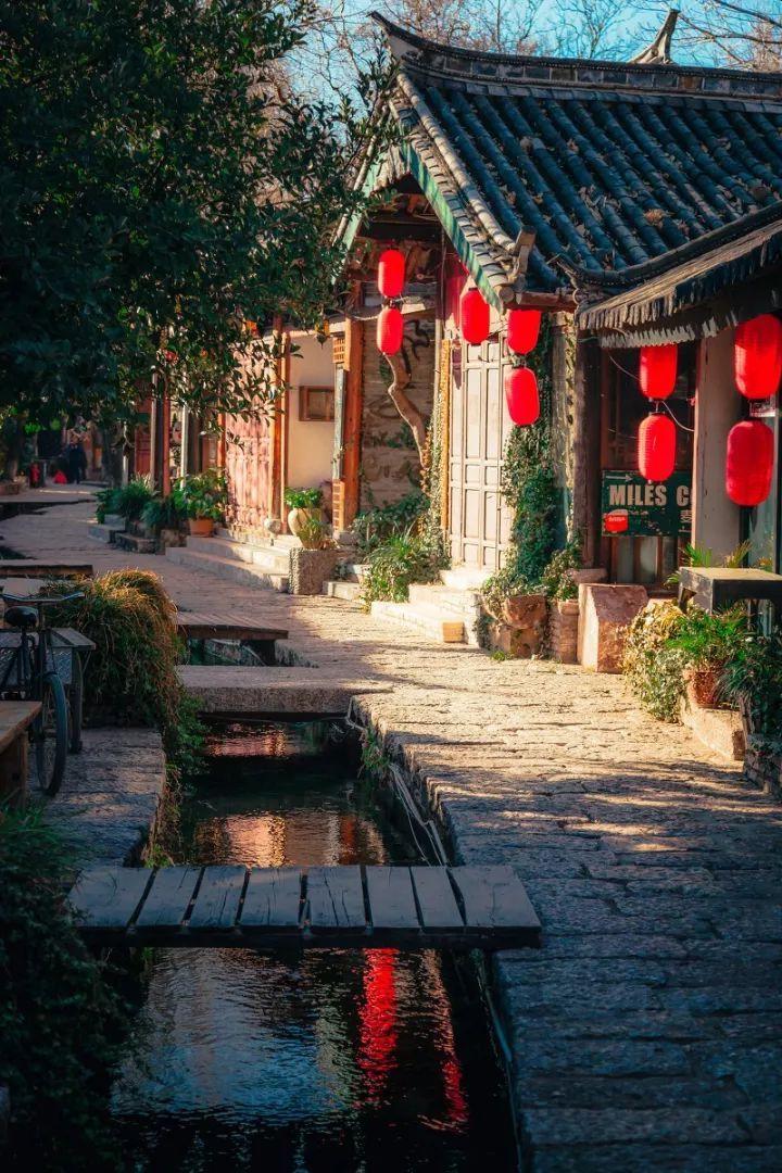 肠胃不好买全脂奶还是脱脂奶知识星球,专注于知识分享与交流